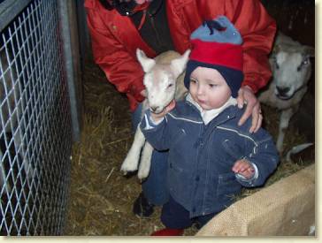 20060311-05 Bij oma en de nieuwe schaapjes